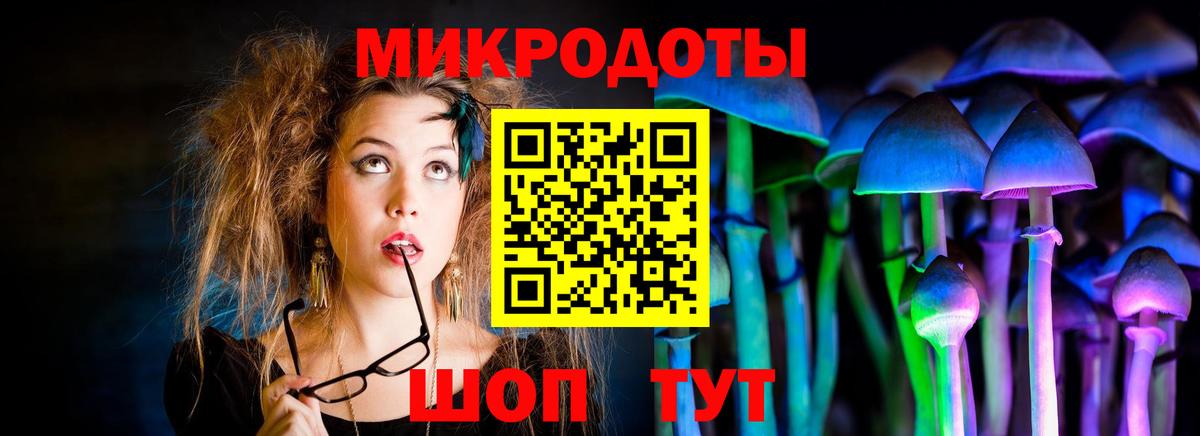 Галлюциногенные грибы прущие грибы  Вход с VPN  Белая Калитва 